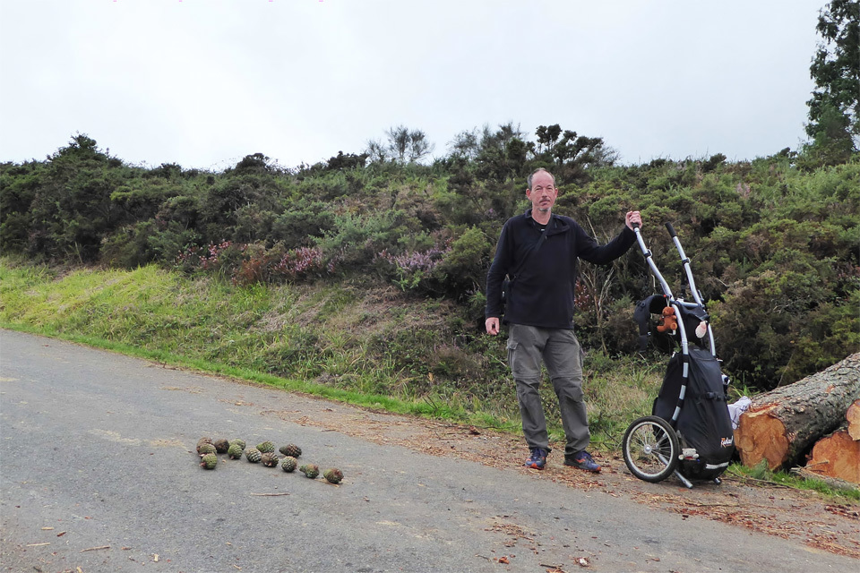 8 Camino Routes met de Wheelie Wandelkar-image