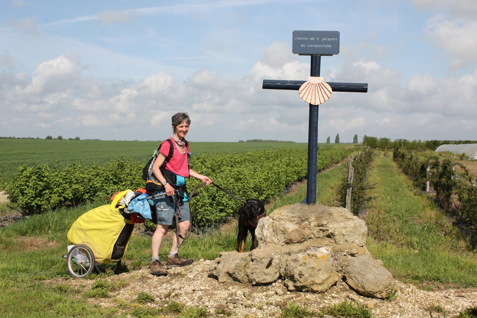 Hiking the Camino with Two Dogs